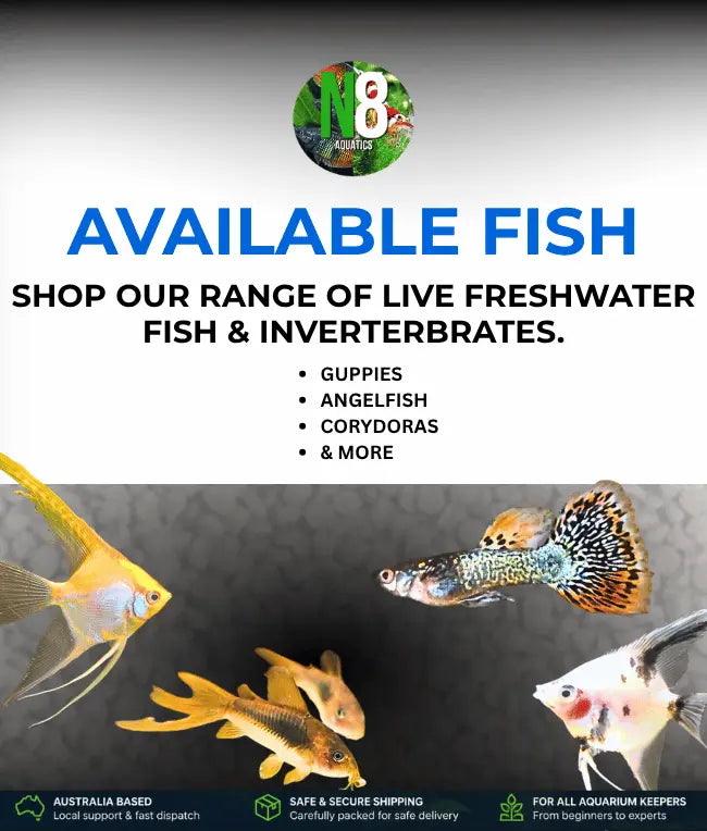 Available-Fish N8 Aquatics