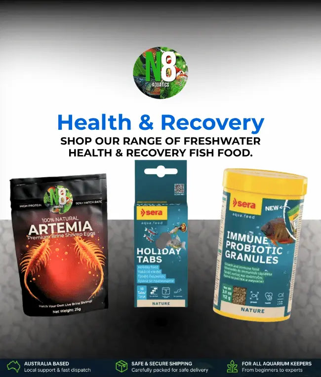 Health-Recovery N8 Aquatics