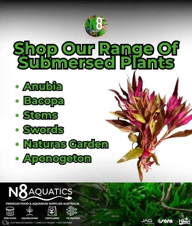 Submersed-Plants N8 Aquatics