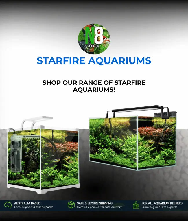 Starfire-Aquariums N8 Aquatics