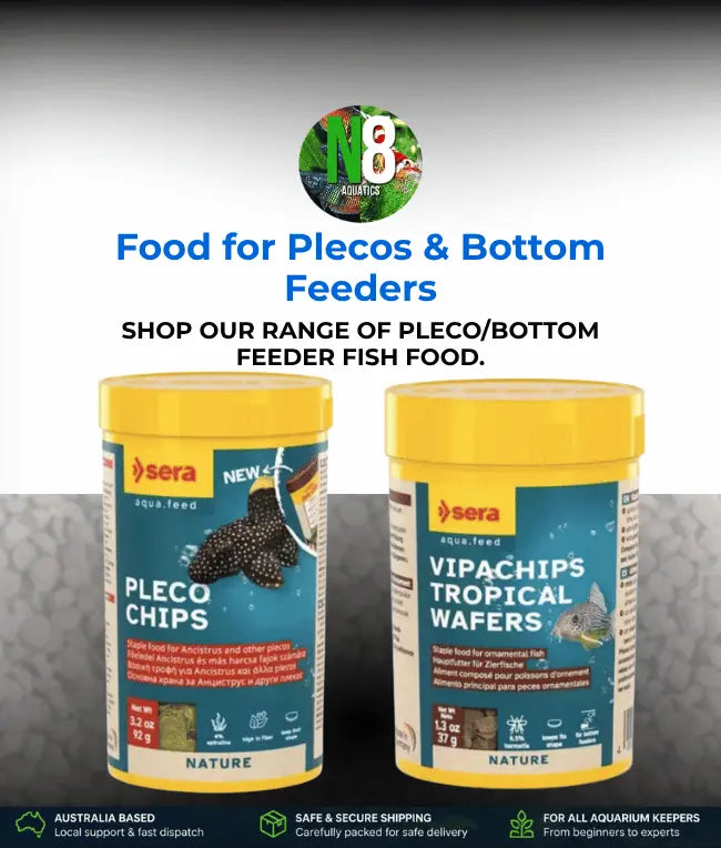 Food-for-Plecos-Bottom-Feeders N8 Aquatics