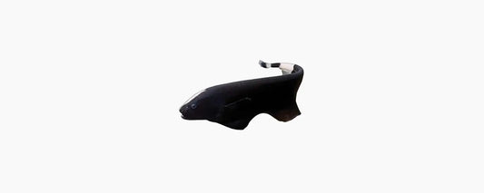 Black Ghost Knife Fish 7cm - N8 Aquatics