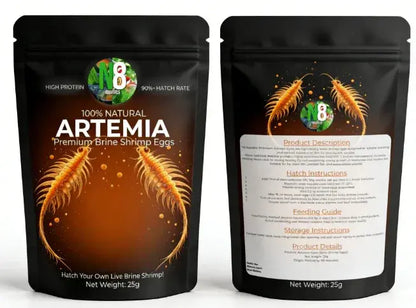 Live Artemia baby brine shrimp for sale - N8 Aquatics, Rockhampton QLD