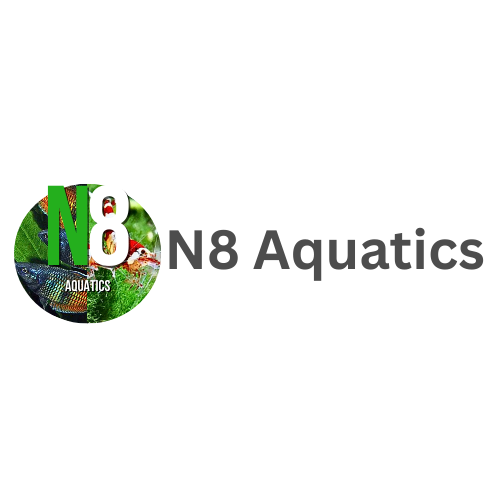 N8 Aquatics