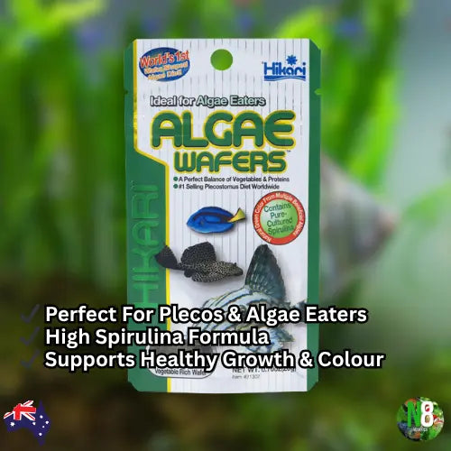 Hikari Algae Wafers N8 Aquatics
