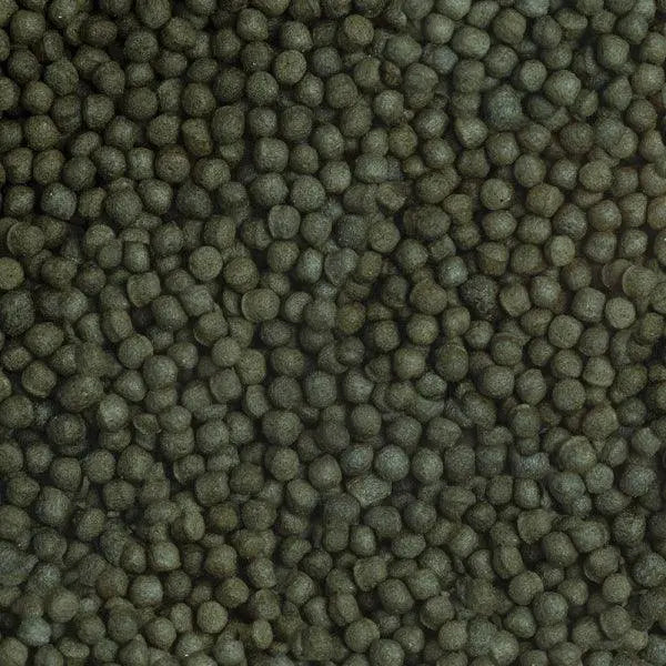 Sera Cichlid Herbivore Granules XL close-up - plant-based fish food for large herbivore cichlids Australia