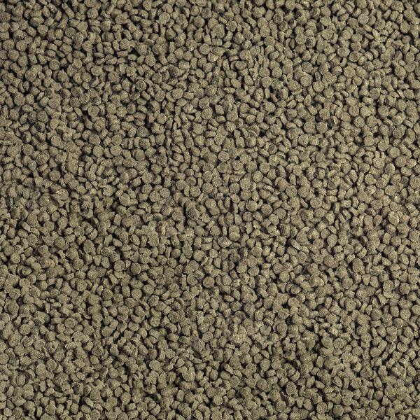 Sera Cichlid Malawi Granules close-up - spirulina-based fish food for Malawi cichlids Australia
