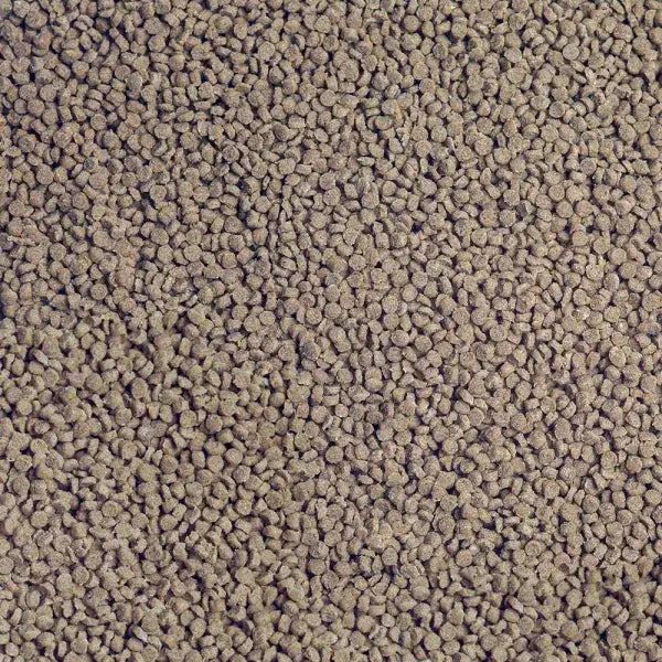 Sera Cichlid Tanganyika Granules close-up - protein-rich fish food for Tanganyika cichlids Australia