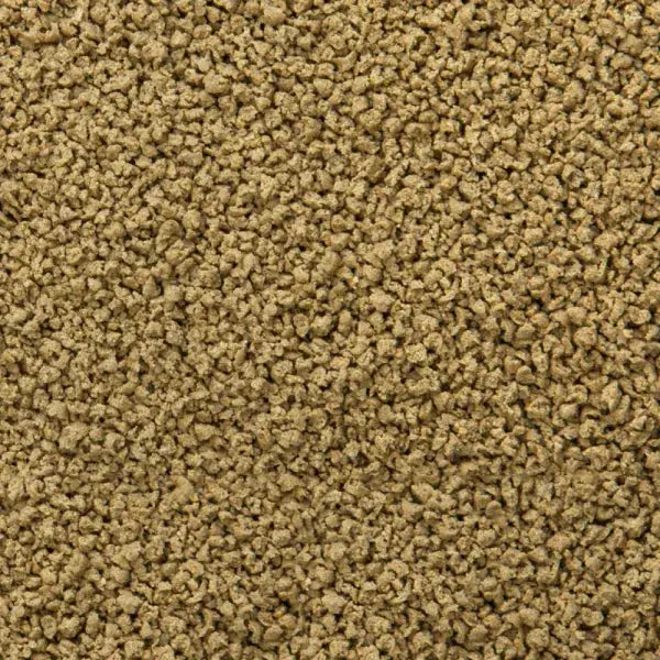 Sera Immune Probiotic Granules close-up - immune boosting probiotic fish food for tropical fish Australia