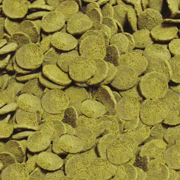 Sera Pleco Chips close-up - sinking algae wafers for plecos and bottom feeding fish Australia
