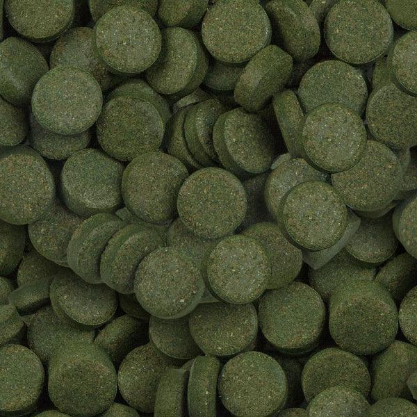 Sera Spirulina Tabs close-up - sinking spirulina algae tablets for herbivore fish and plecos Australia