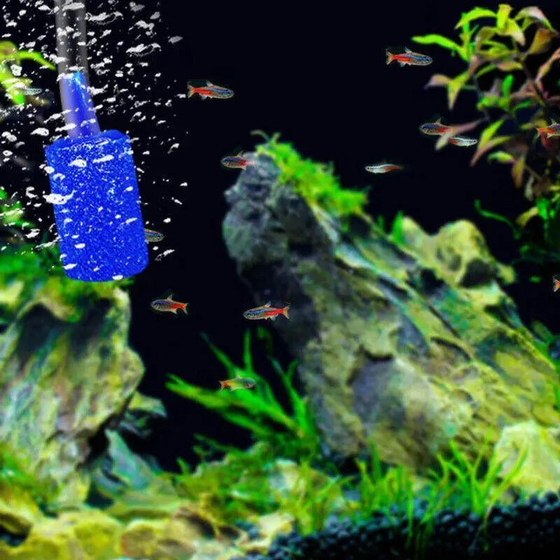 Air Stone Aerator Diffusers for Aquariums - 10 Pack (Black) N8 Aquatics