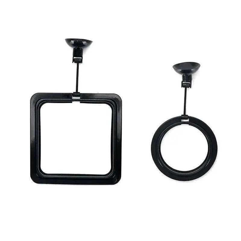 Floating Fish Feeding Ring for Aquariums (Black Square) N8 Aquatics
