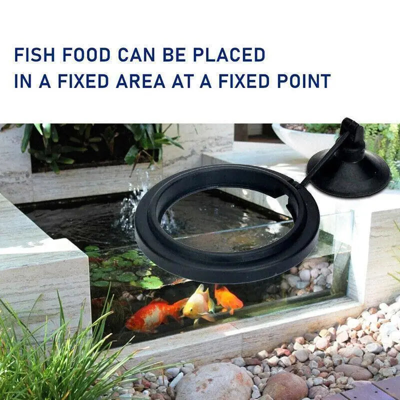 Floating Fish Feeding Ring for Aquariums (Black Square) N8 Aquatics
