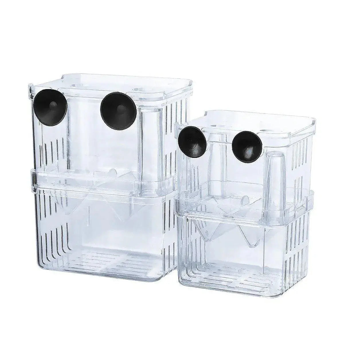 Guppy Breeding and Isolation Box (13 x 10 x 7cm) N8 Aquatics