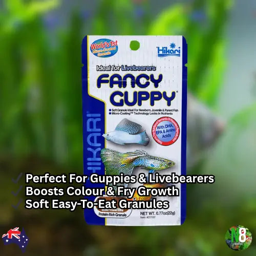 Hikari Fancy Guppy N8 Aquatics